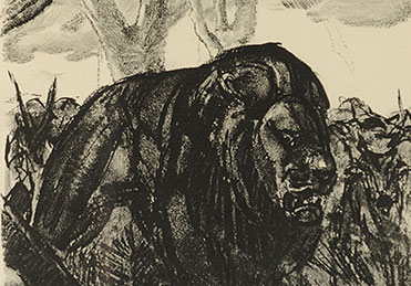  Lithographie Lion Vintage par Paul Jouve 